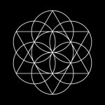 Flower of Life. White Vector Sacred Geometry isolated on black.